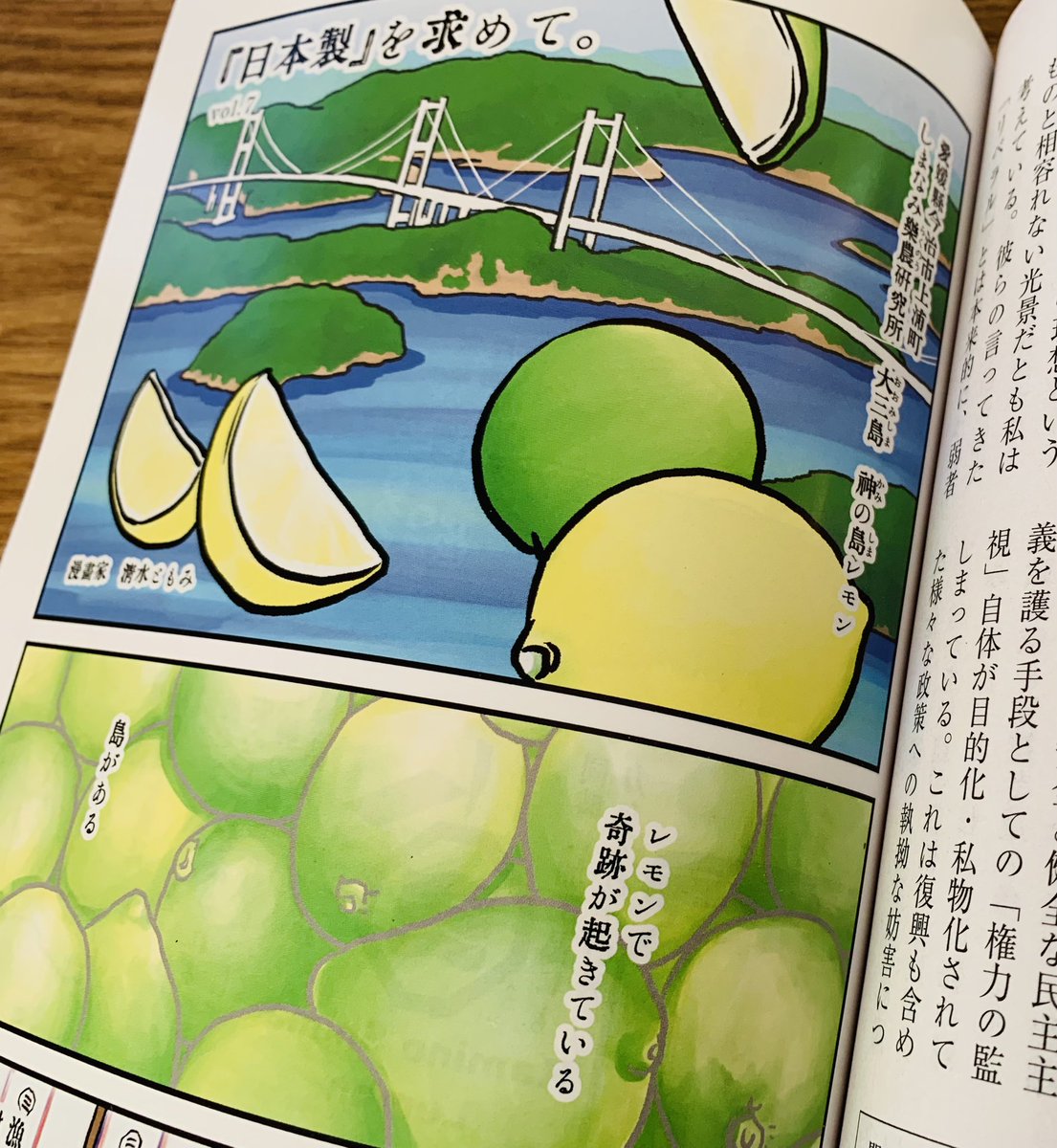 月刊正論12月号「#日本製を求めて。」ちょい見せです🍋今回は愛媛県の大三島でのレモン栽培。今が収穫最盛期✨増える一方の耕作放棄地を目の前に立ち上がった地元の若者による  #神の島レモン にまつわる新しい取り組みのお話です。ぜひご覧下さい🍋グリーン檸檬は国産だけ。#正論 