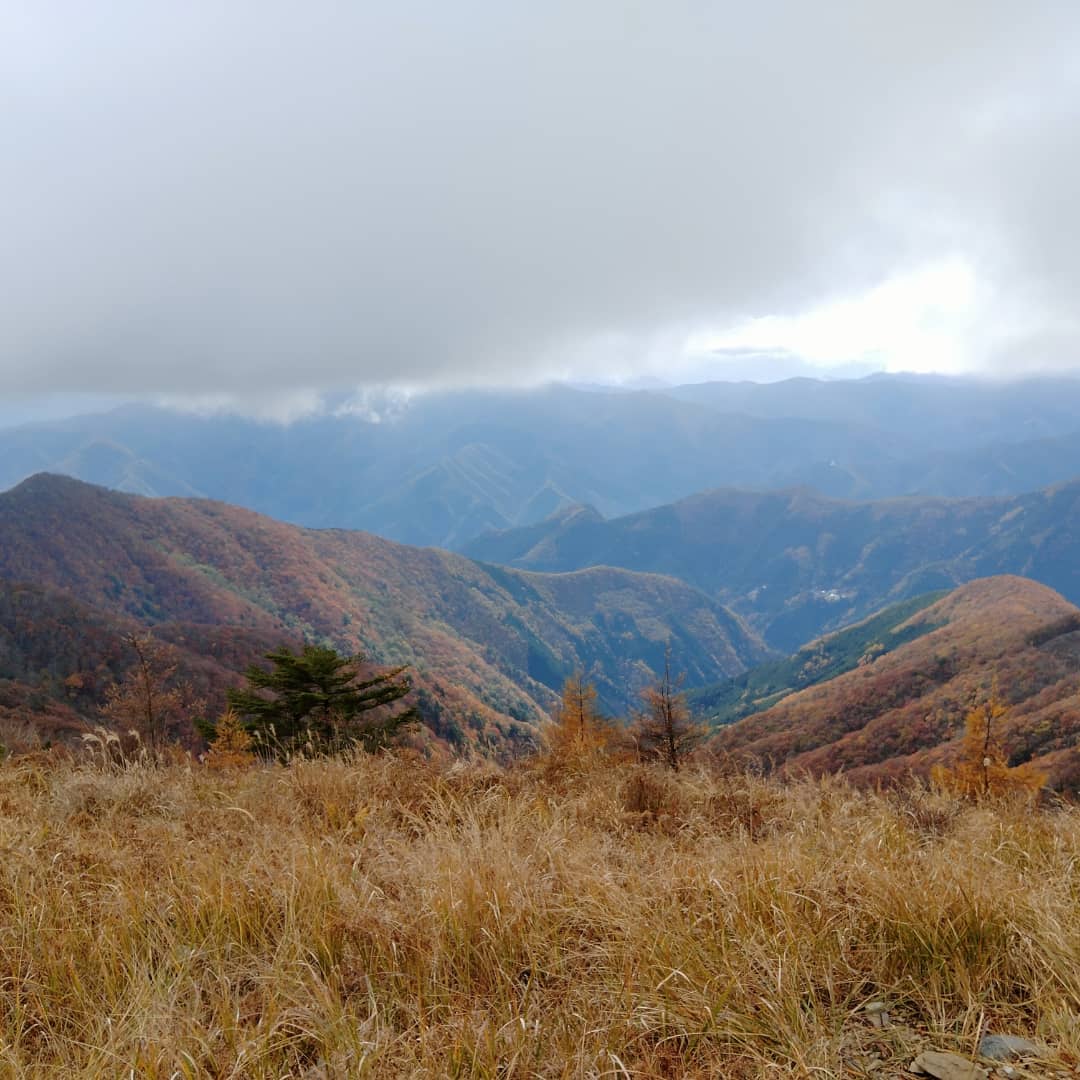 0452275373's tweet photo. 店長はItaliaからの風を感じに山へ行きましたが、お店は元気に営業中です🍷 https://t.co/9AYdmt9BOW