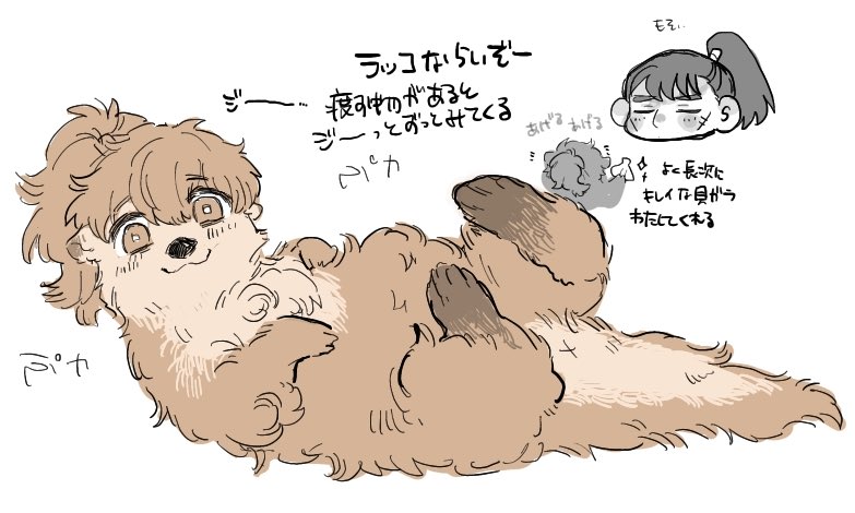 ⚠️獣化
かわいいラッコちゃん 