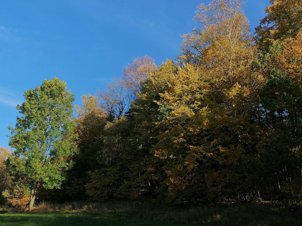 Falletti_Foods's tweet photo. Sobota byla slunečná🌞hodně pohody a radostí i v neděli přátelé 🌹🙂🍀🍁🍂🌿🍁🍂🌿 https://t.co/pjPel8d4xr