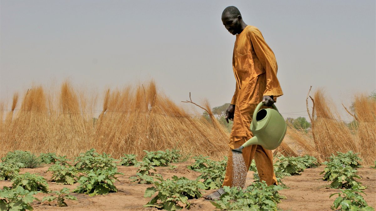 There is a gap in climate finance and this has to change.

Say it with us 📢 
INCREASE CLIMATE FINANCE FOR SMALL-SCALE FARMERS!