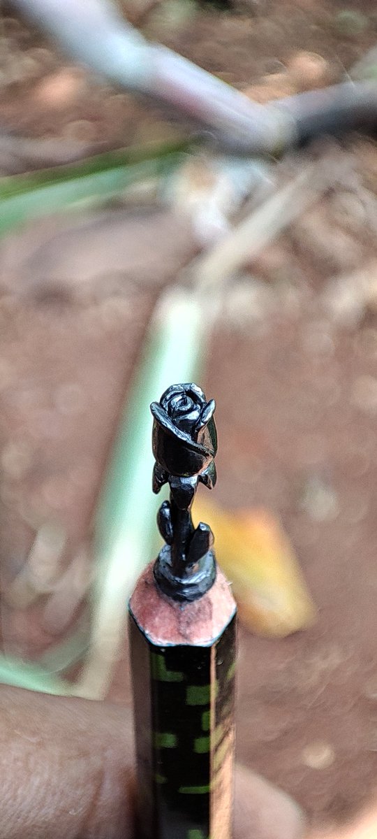 AjMicroartist's tweet photo. Rose flower carved on pencil lead
#beautiful #ROSE #microart #pencilart @Artbrojay1 @AjMicroartist @SonuSood https://t.co/16qDWYS1OC