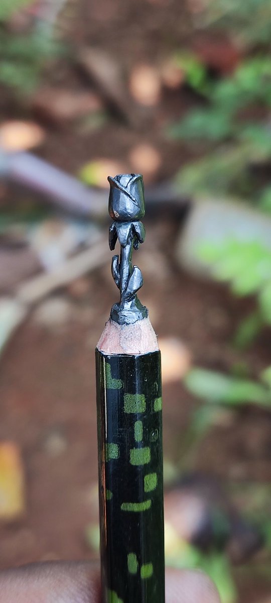 AjMicroartist's tweet photo. Rose flower carved on pencil lead
#beautiful #ROSE #microart #pencilart @Artbrojay1 @AjMicroartist @SonuSood https://t.co/16qDWYS1OC