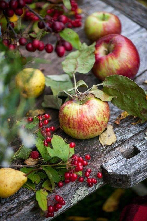 Pavla02566450's tweet photo. Krásné dobré ráno s kávičkou ☕zase nás čeká pěkný podzimní den🍁☀️🍂přeji všem pohodovou a příjemnou neděli plnou úsměvu a lásky 🌺🌼🏞️🌄😊🍀🙋‍♀️ https://t.co/9nmmBCcHPt