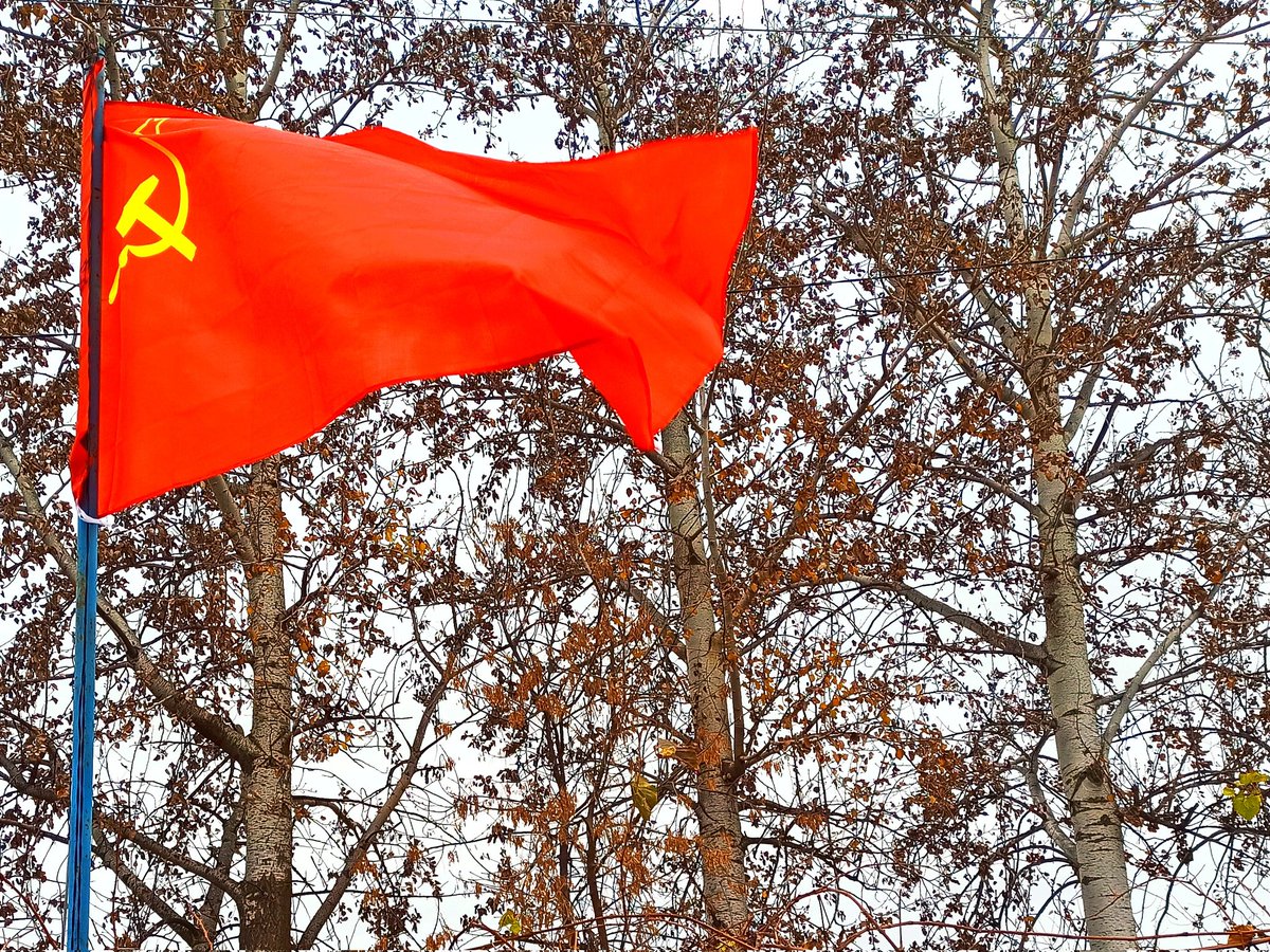 Samosdelka's tweet photo. С Праздником! https://t.co/RWcHe0IuqY