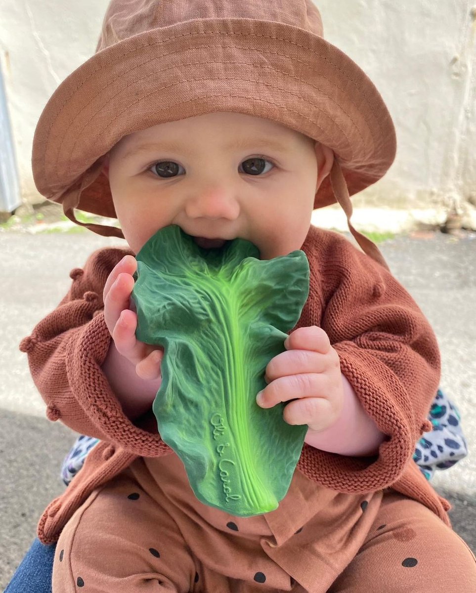 BabySouk's tweet photo. Introduce kids to a healthy lifestyle from a young age! This product is perfect as a baby teether, babies and kids toy, bath toy, for sensory play and decorative objects. 🥬⁠🥬😍

📷 by @abibennett

#wherefamilybegins #babysouk #oliandcarol #teether https://t.co/ElbUuYf0Oh