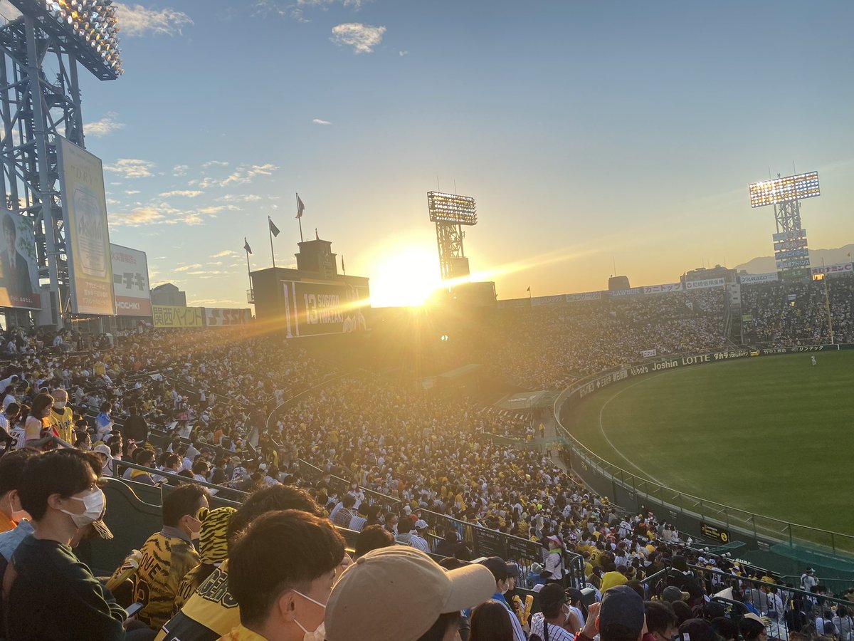 グリィ 今季 6勝6敗 (@Hanshin_shion) / Posts / X