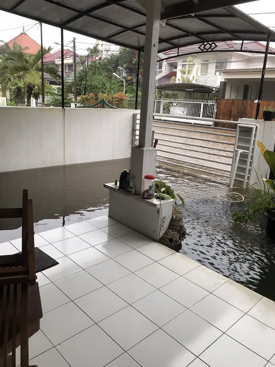 Modjojosh tweet media