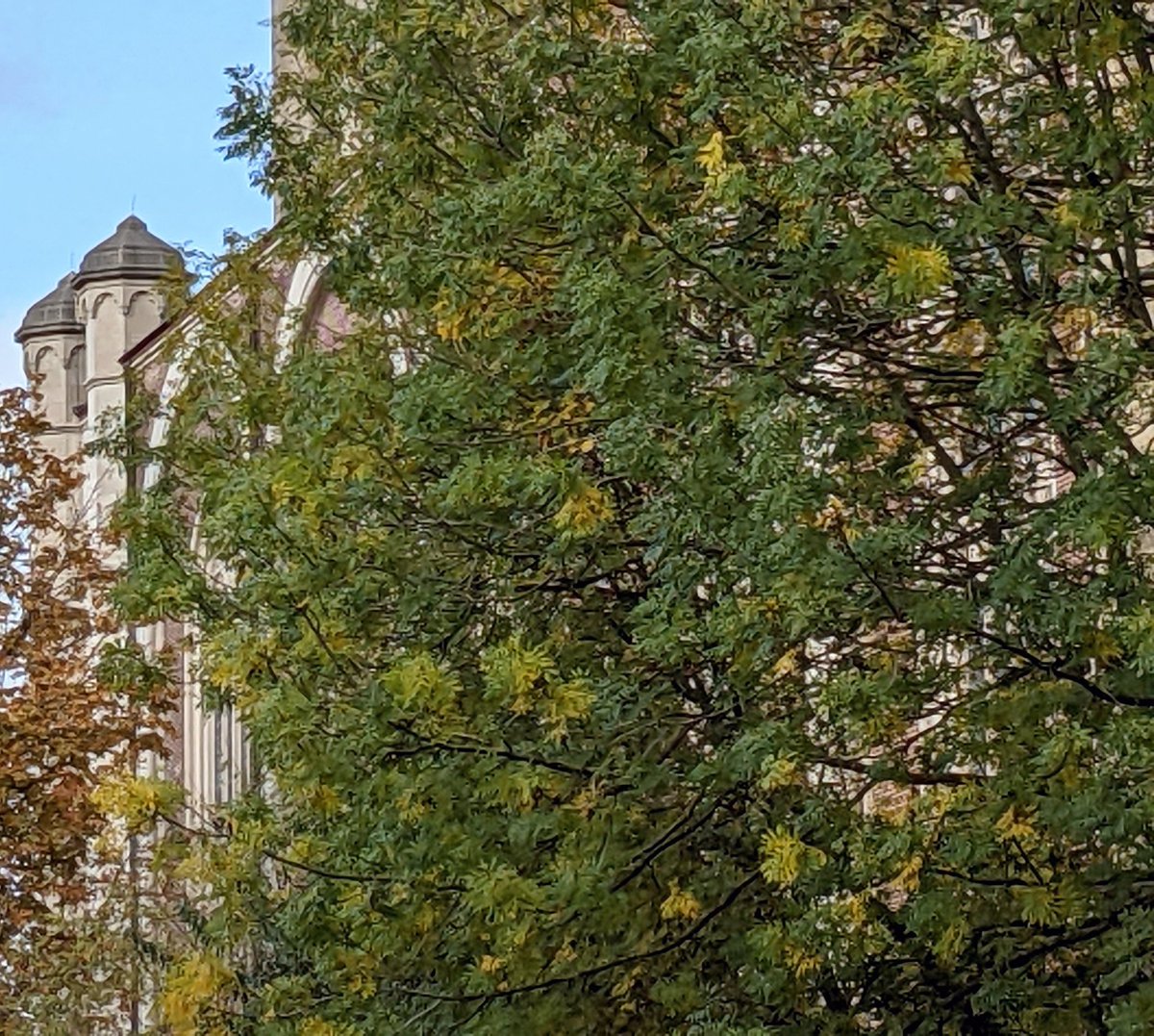 PWullen's tweet photo. Doomed Sint-Annakerk view from Groene Ooie. 🌿

#sintanna #sossintanna #Autumn

@visitgent @Stadgent https://t.co/hg4ErKIrnG