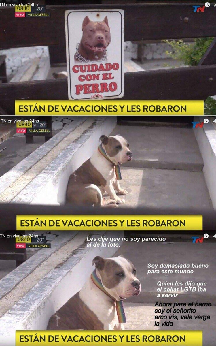 DavidRoldan_3's tweet image. Recordemos esta joyita en este mes del #Orgullo2021