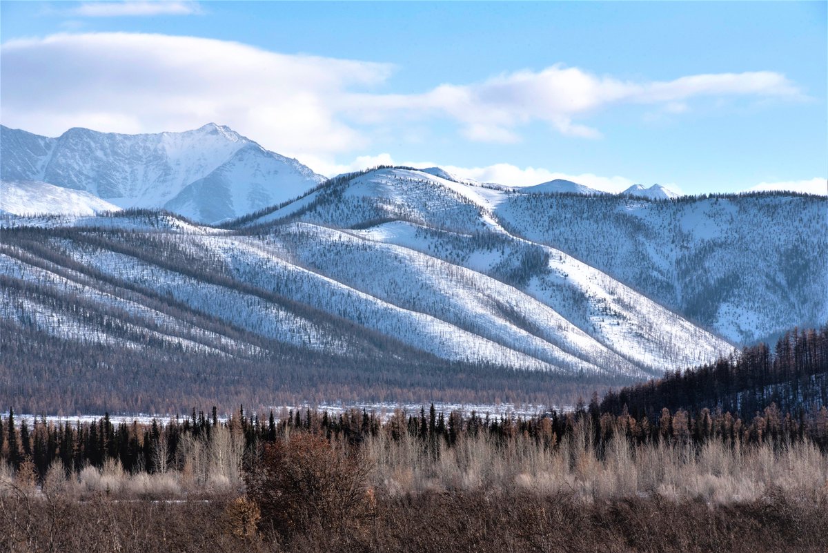 mongolianways's tweet photo. The winter months of Mongolia, from November to February, are exceptionally beautiful time to see endless white steppes and Siberian borderlands.

https://t.co/VRCVbfJpHt

#Mongolia #Winter #Travel https://t.co/S4iKyy28QI