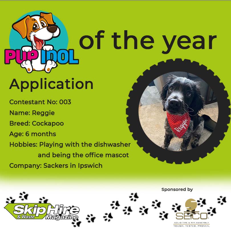 SkipHireMag's tweet photo. Meet Reggie the winner of Aprils edition 

Vote for Reggie now👇

https://t.co/v2UYRTddDy 

Voting closes Sunday 21st at midnight 

#SHWM #dog #vote https://t.co/VqIbdFNH6I