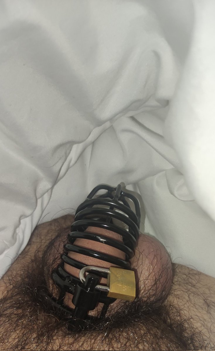 kenn1479's tweet photo. Despertar enjaulado y estar así todo el día...... https://t.co/wPGUGhk6wT