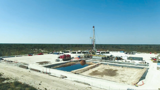 #ActOnClimate tweet media