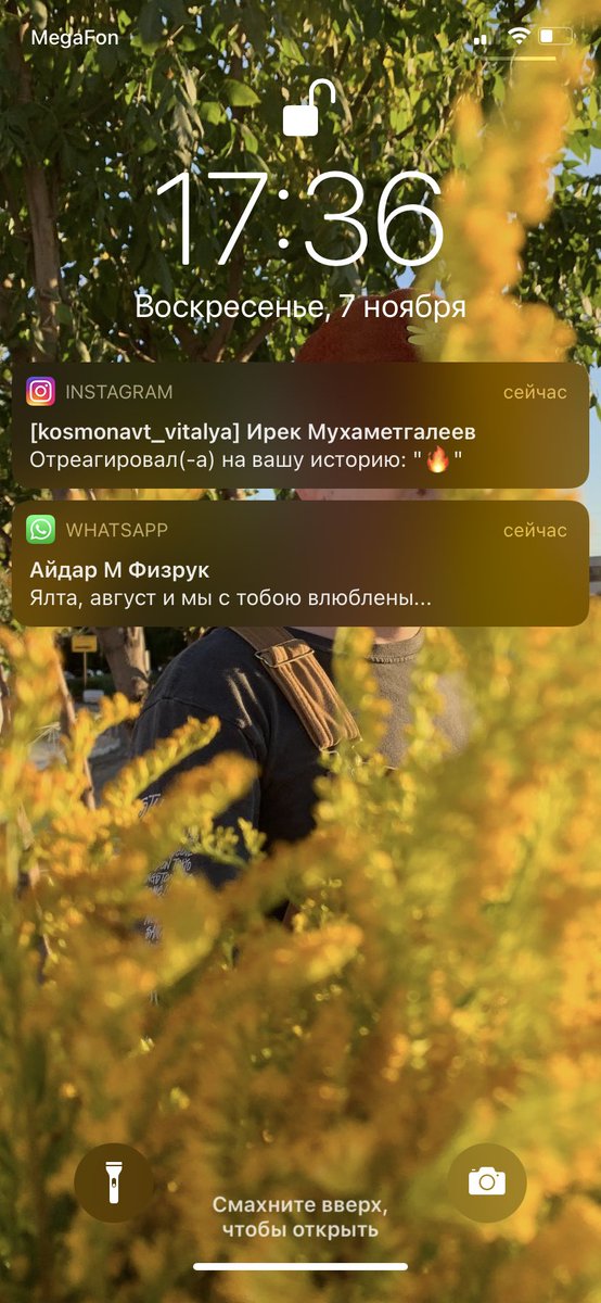 Короче помните да что я не была ни на одной паре по физре… написала физруку… типа блин мне стыдно простите но че поделать не люблю я физру на улице… в зале — пожалуйста, но только не на улице… а он мне цитирует песню Стрыкало, которую я пела когда-то летом в лагере