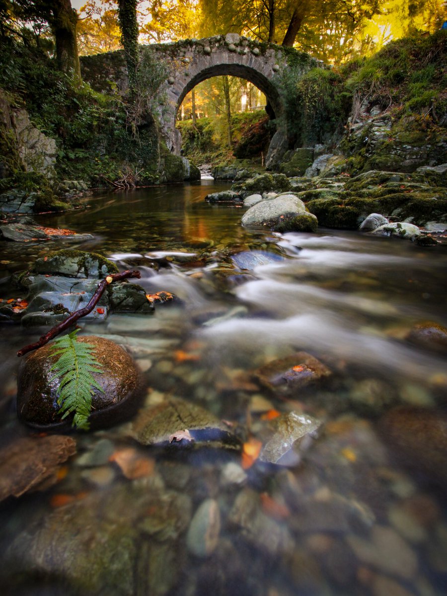 Tollymore Forrest 

#forrest #irishphotography #NaturePhotography #tollymore @the_full_irish_ @GoToIrelandCA