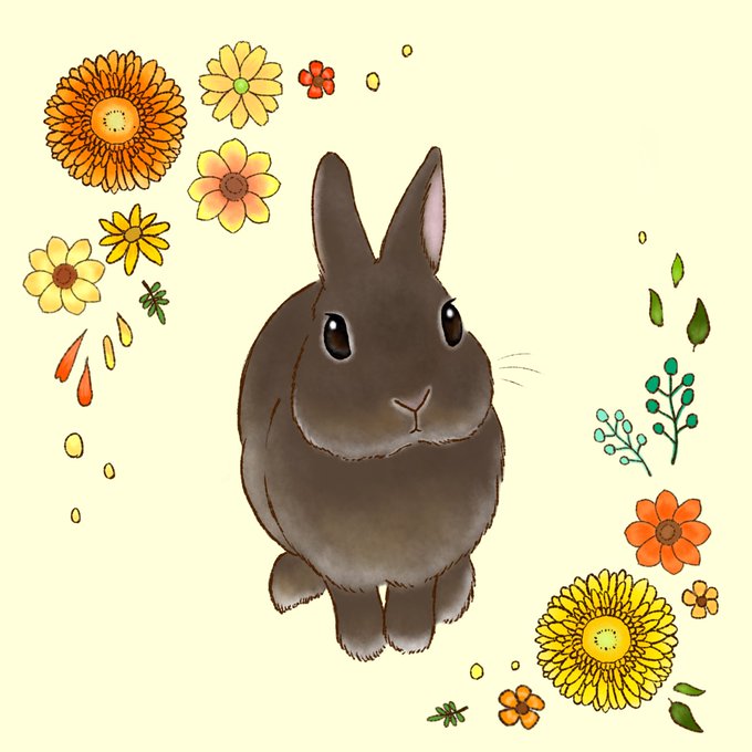 ほんわかイラストのtwitterイラスト検索結果