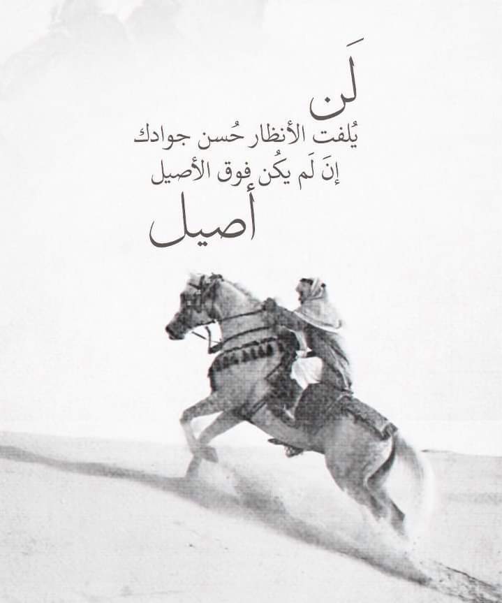 لن يلفت الأنظار حسن جوادك ... إن لم يكن فوق الأصيل أصيل  ...