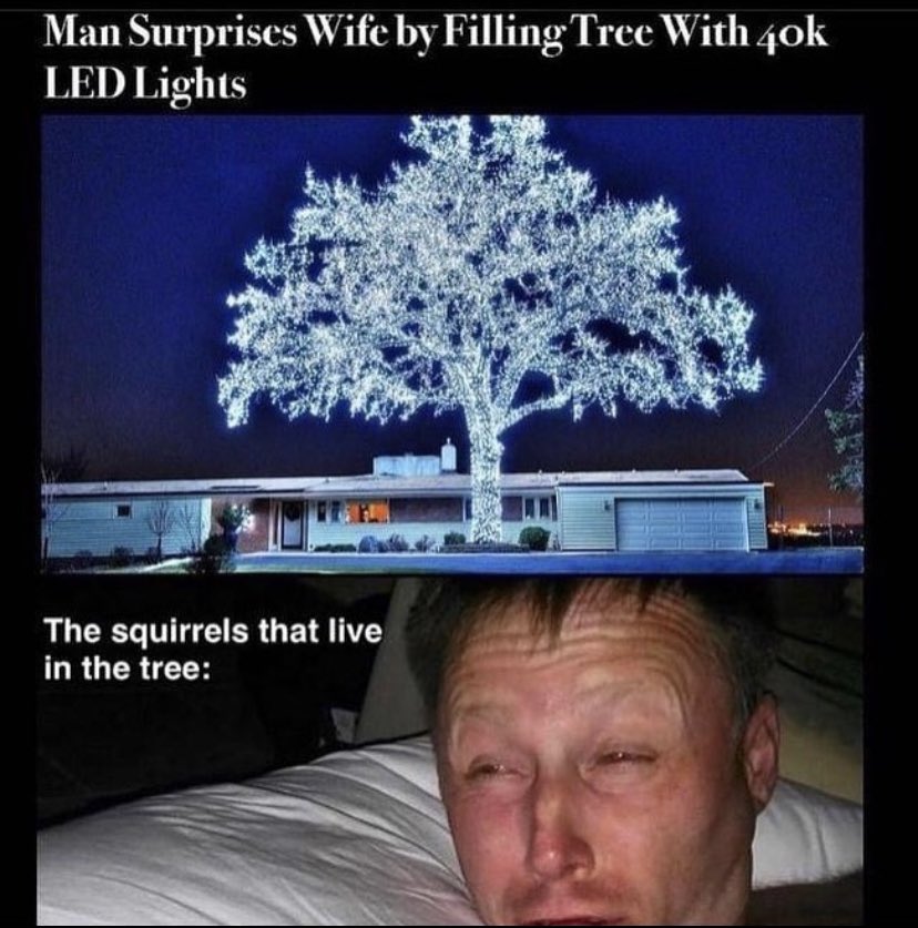 WholesomeMeme's tweet photo. https://t.co/8P8zSKHqJw