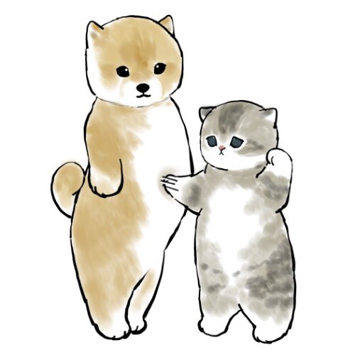 「柴犬 立つ」のTwitter画像/イラスト(新着)｜4ページ目