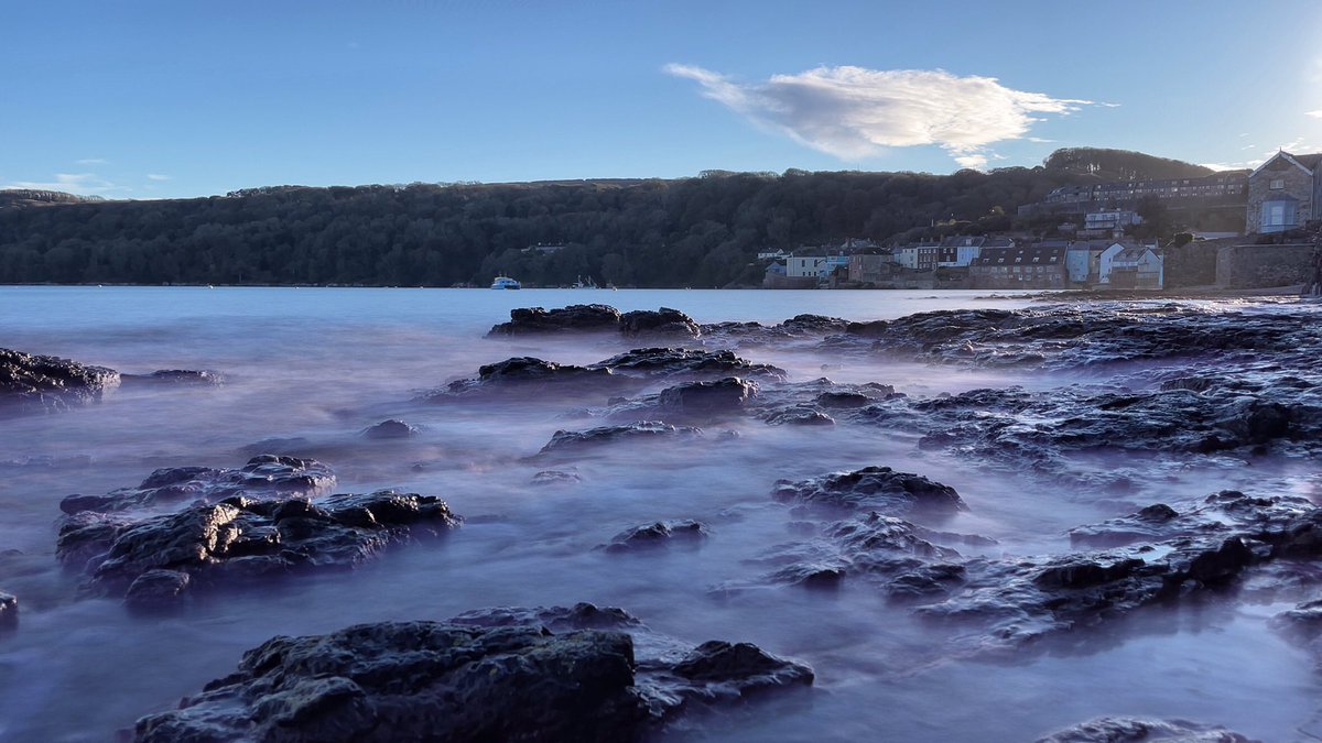 Alison Grant tweet media