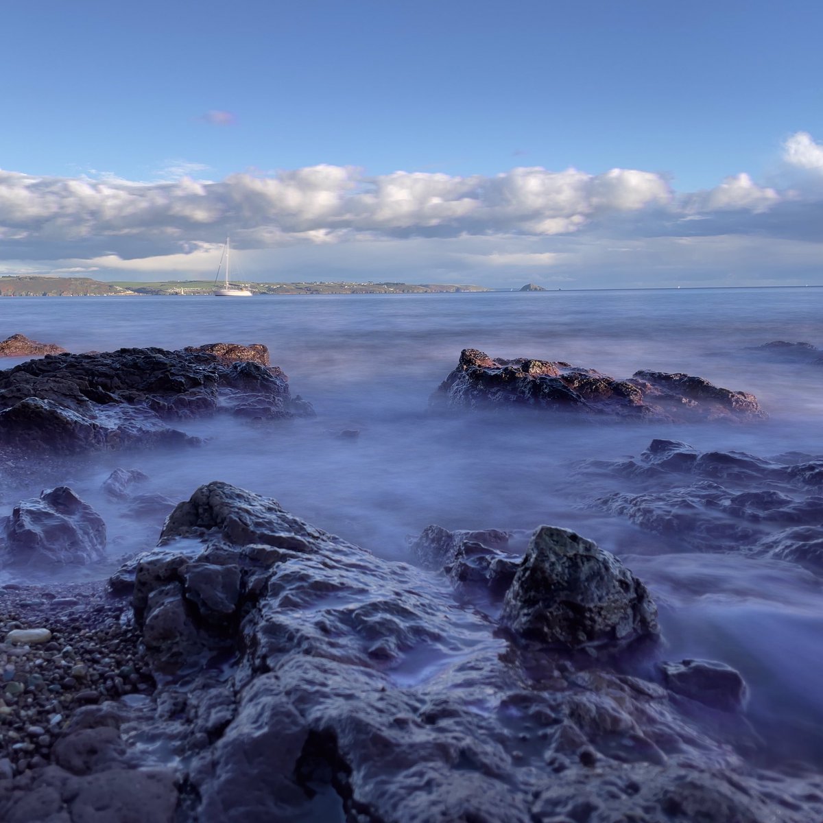 Alison Grant tweet media