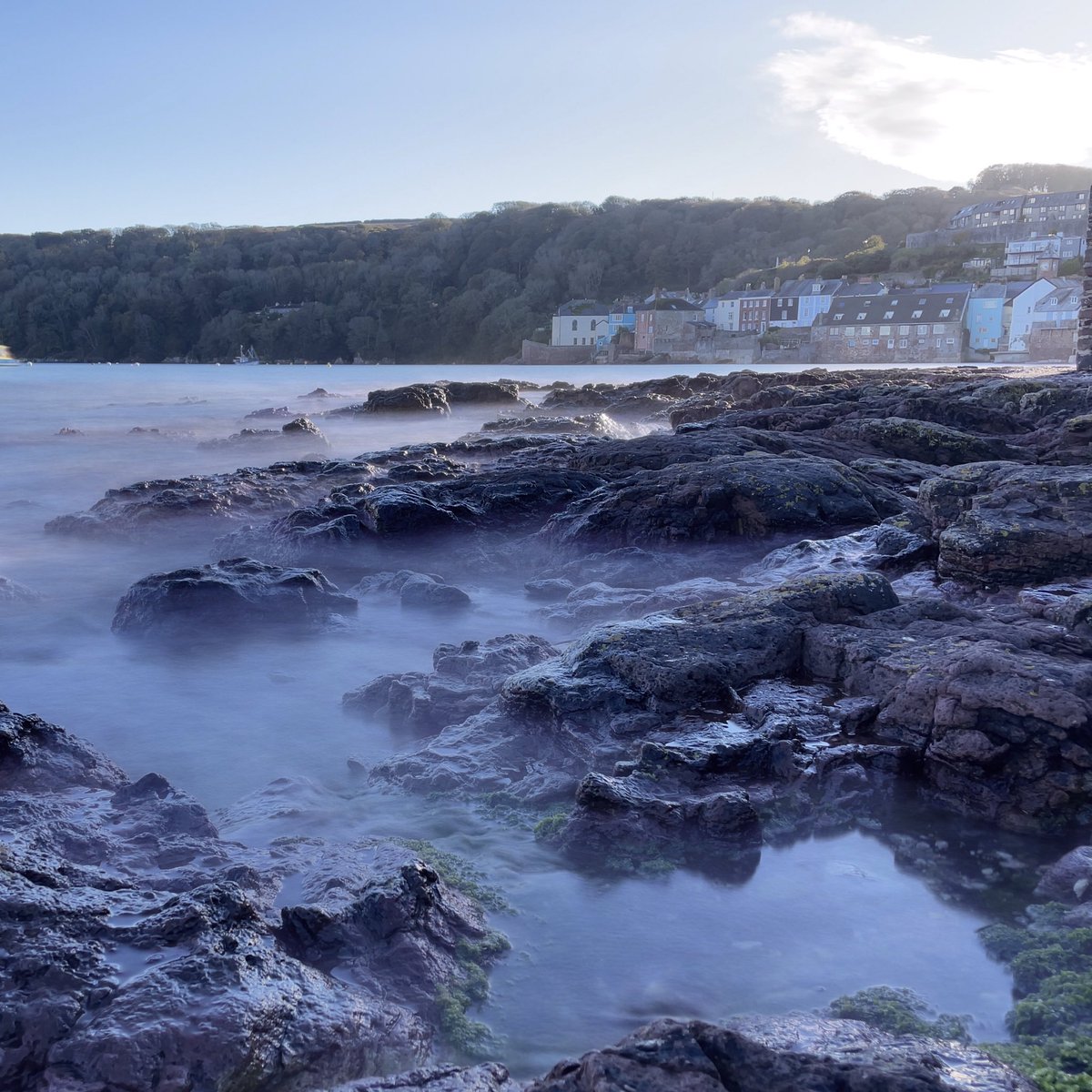 Alison Grant tweet media