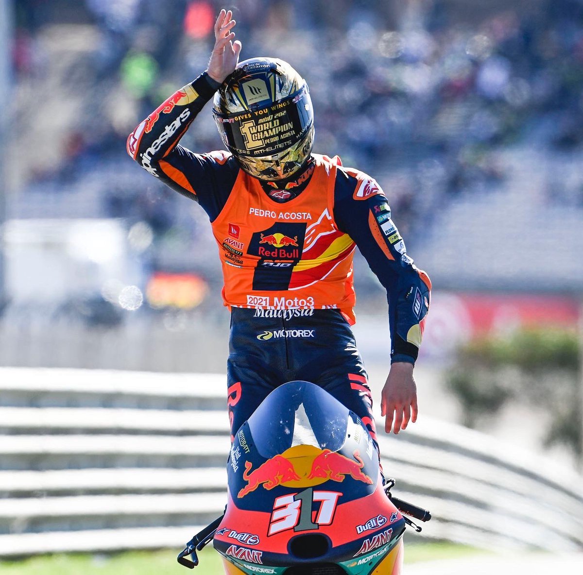 37_pedroacosta's tweet photo. MOTO3 WORLD CHAMPION 2021.

Gracias, Thanks, Danke, Grazie. 

#AlgarveGP #RookieChamp #RedBull #KTM #Finetwork #Hawkersco #MtHelmets #Alpinestars #MotoGP https://t.co/0uIxhbZ8of