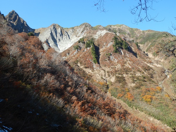 arukimak photo