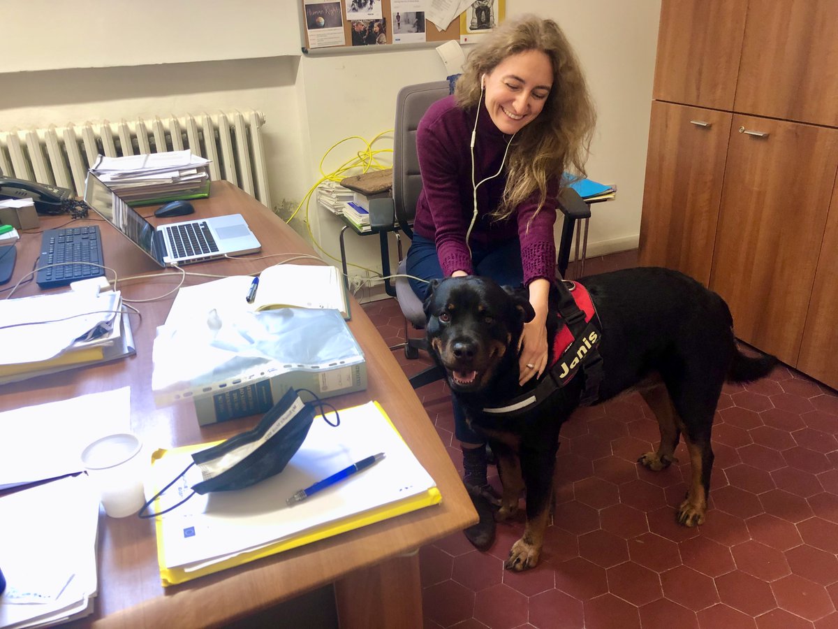 ZAliozi's tweet photo. So this week there were exceptional flooding alarms in #Venice! #Aqualta๐ฒ
I couldn't risk leaving my #dog at home alone, so I was taking her with me to work!
๐So happy that all my students & colleagues โค๏ธher!
#JanisTheDog #ESAdog #AcademicDog #Rottweiler #DogsofTwittter https://t.co/NBdcbUTAxB