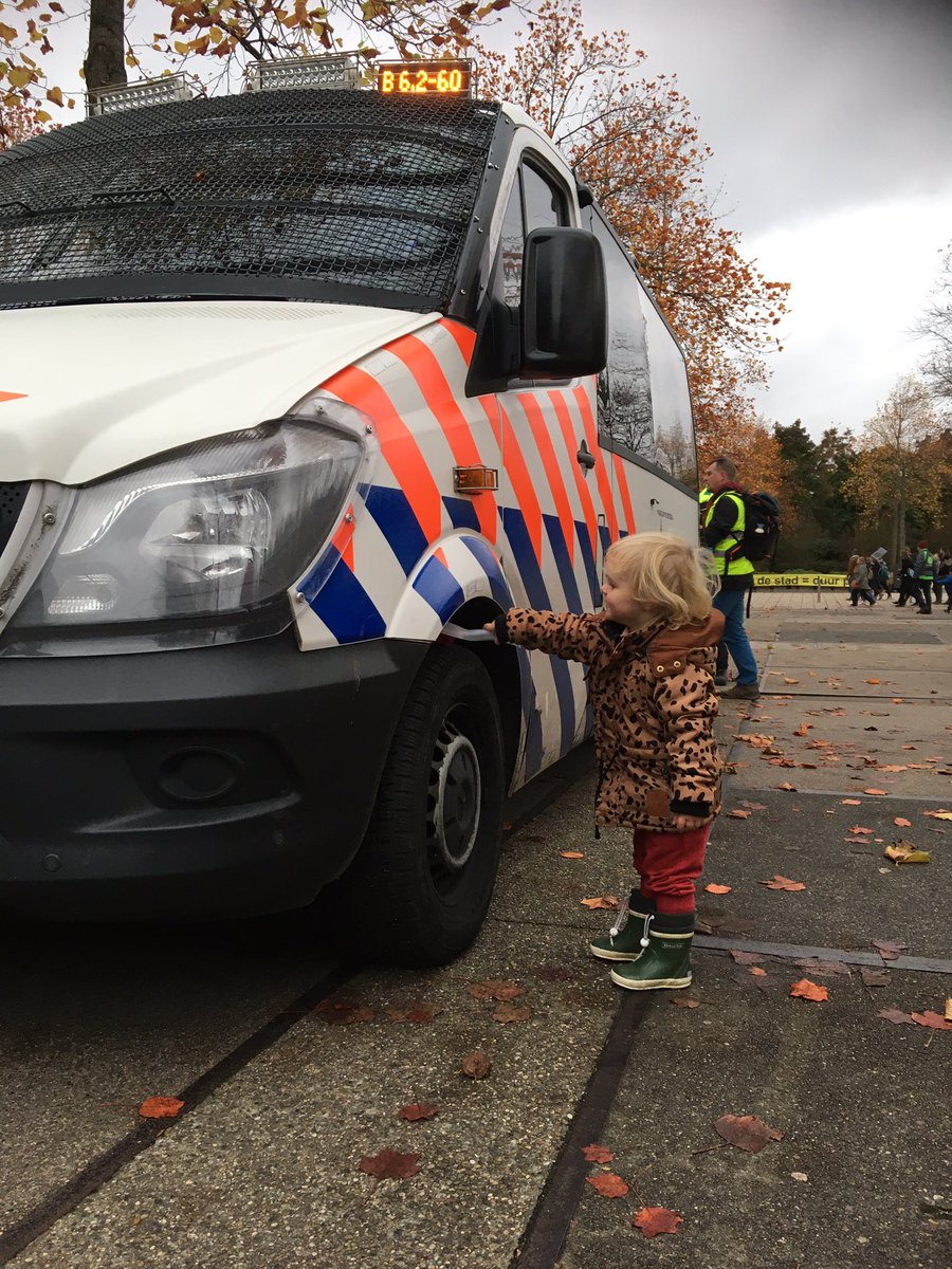 Axie in de Maxi(cosi) tweet media