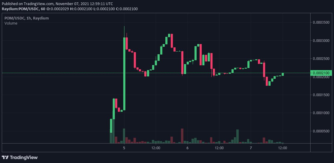 Pomeranian Token tweet media