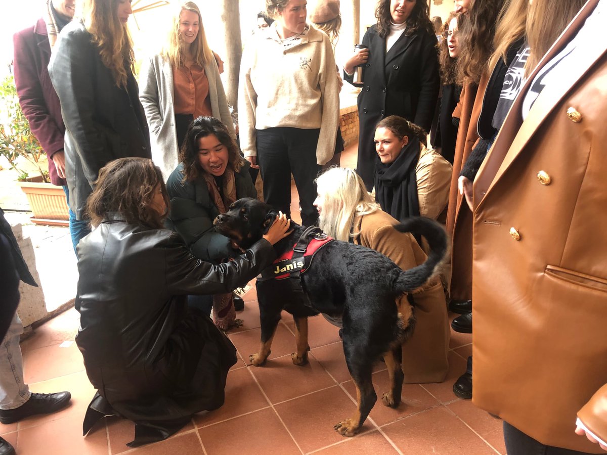ZAliozi's tweet photo. So this week there were exceptional flooding alarms in #Venice! #Aqualta๐ฒ
I couldn't risk leaving my #dog at home alone, so I was taking her with me to work!
๐So happy that all my students & colleagues โค๏ธher!
#JanisTheDog #ESAdog #AcademicDog #Rottweiler #DogsofTwittter https://t.co/NBdcbUTAxB