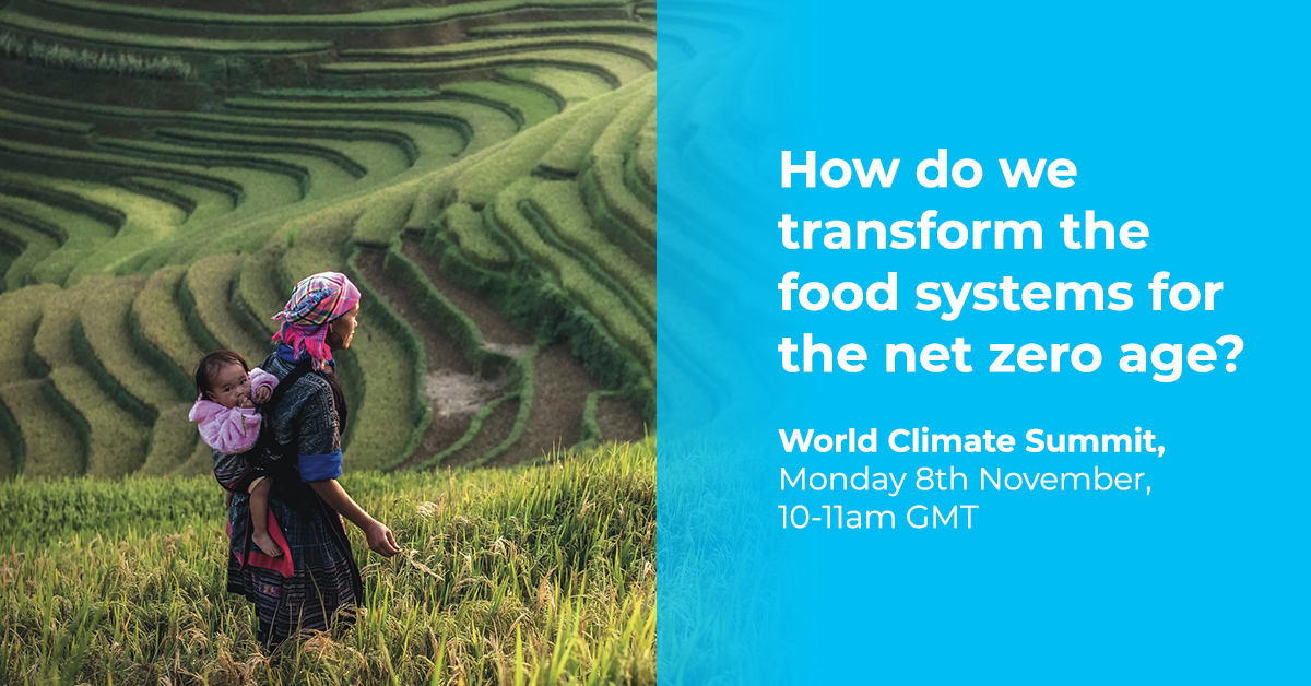 tetrapak's tweet photo. Save the date. 📅 Join us with Dan Esty, @jrockstrom and other industry leaders at #WCSummit on 8th November to discuss actions to decarbonising the global food system: https://t.co/TC3wuzMWep https://t.co/ATnYt11Yc5