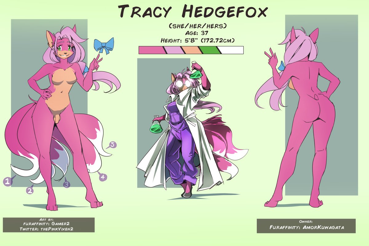 TracyHedgefox's tweet photo. Ref sheets. Traditional anthro by @ThePinkVixen2 Mobian by @JamesCaline https://t.co/2iE9txrXIg