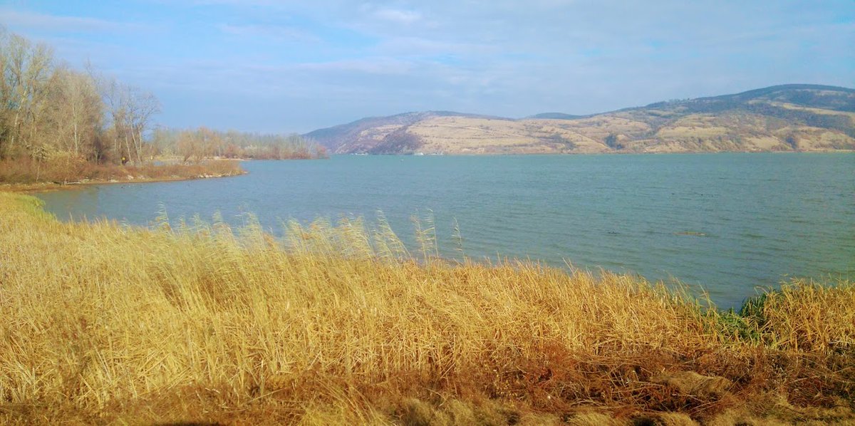 albicilla66's tweet photo. The 400km day tour interconnecting the very best sites around #Belgrade 🇷🇸 #Serbia, #birding upriver from #Djerdap Gorge National Park to #LabudovoOkno Ramsar, from one spot to another for some 85km, &when we head back to the city in the late afternoon, there is only 100km left https://t.co/WIBiOOVFSb