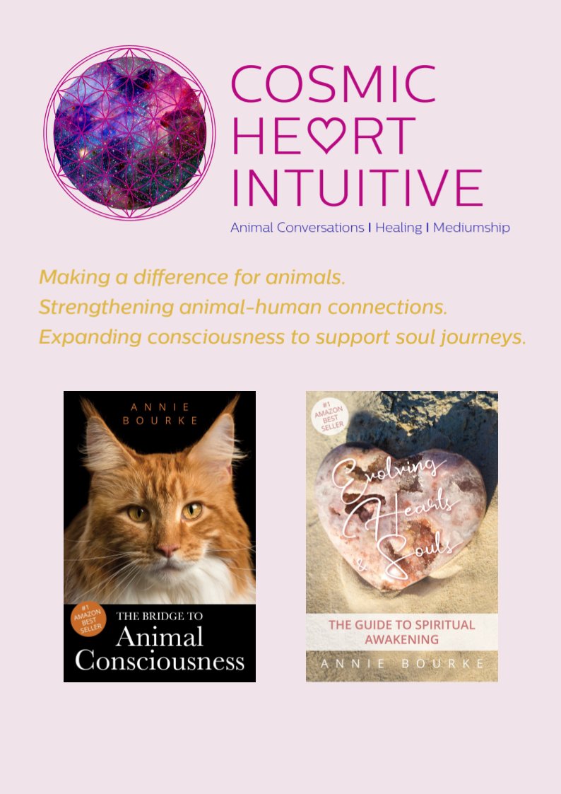 CosmicIntuitive tweet picture