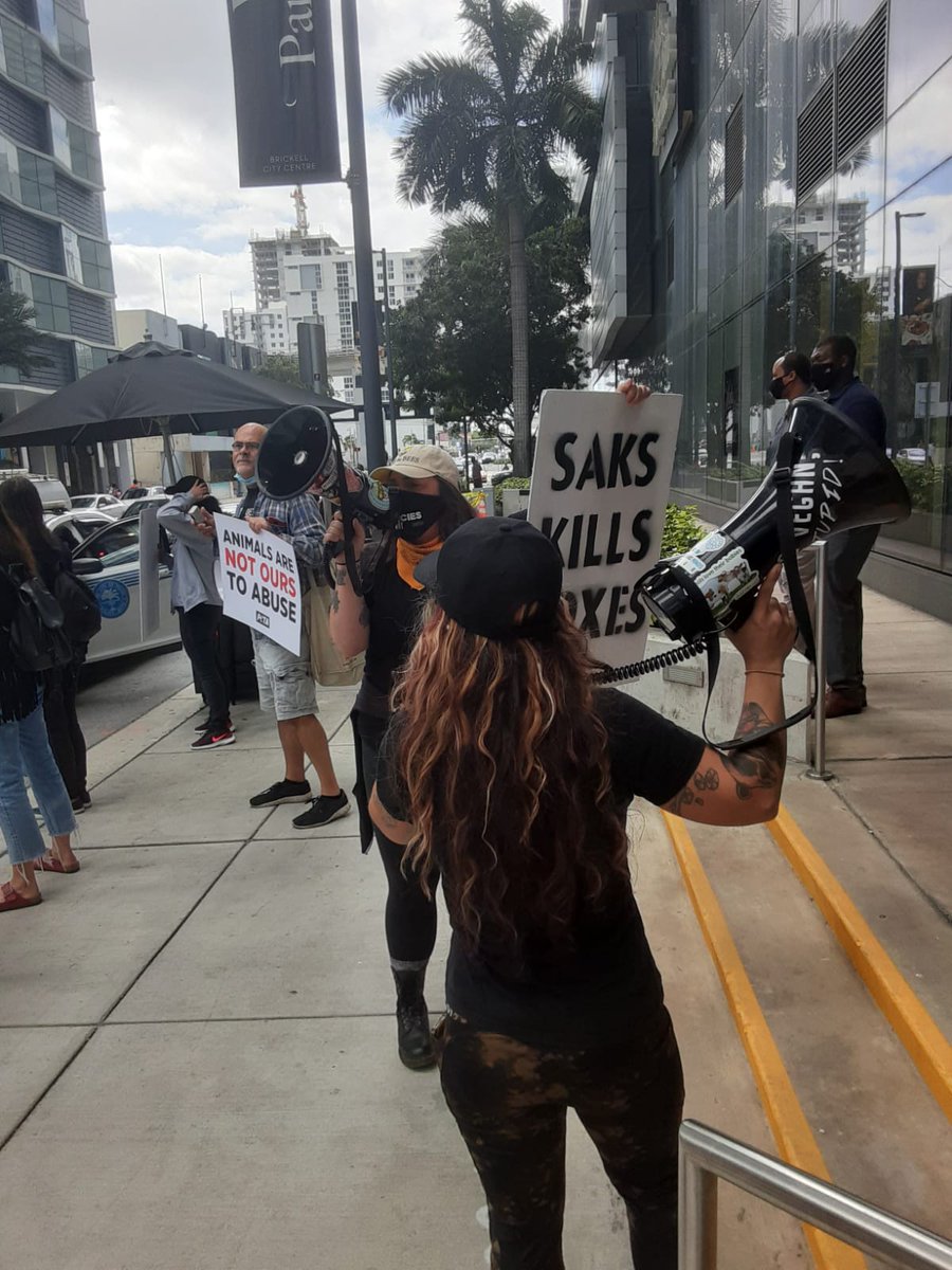 Paul_Vegano's tweet photo. To all suffering, to the slaughtered, to the used and abused, we will never stop fighting you. If you can be active and support local vegan animal rights activists.

Stop Supporting Animal Cruelty
GoVegan🌱🌎

#Miami #AnimalRights #EndSpeciesism #GoVegan #AnimalLiberation https://t.co/sJUmLwfGeh