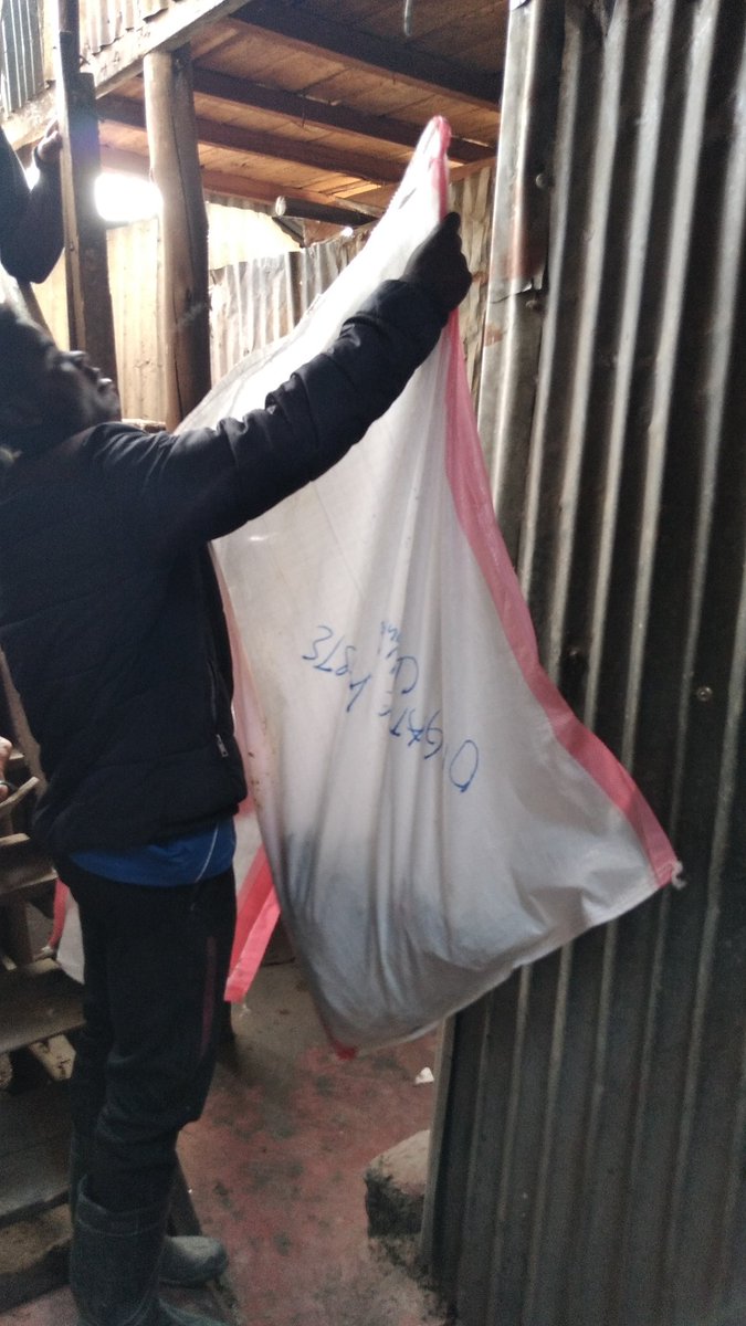 Today's community waste management collection.We are working with mapped households, businesses and institutions as they segregate waste at the source <a href="/theflipflopi/">The Flipflopi</a> <a href="/UoPPlastics/">Revolution Plastics Institute</a> @EcologicalJust2 <a href="/KombGreen/">KOMB GREEN SOLUTIONS</a> <a href="/DaveOjay/">AmaBlaqStar🇬🇭|🇹🇿|🇺🇬|🇰🇪🇧🇫🇧🇼🇿🇦🇸🇩</a> <a href="/BowyerCressida/">Cressida Bowyer</a>