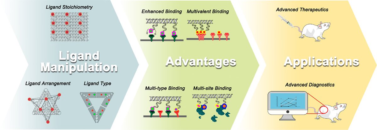 JCRnEDITORS's tweet image. DNA nanotechnology-facilitated ligand manipulation for targeted therapeutics and diagnostics.
| Zhao Yongxing @ZZU_China |
#DNAnanostructure #ligandmodification #targeteddelivery
doi.org/10.1016/j.jcon…