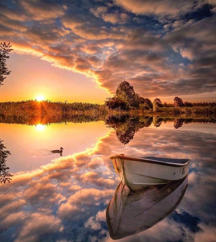 David88_01's tweet photo. #nature #NaturePhotography https://t.co/Jx6Dq82lmU