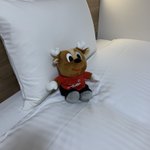 ツイートに含まれる画像