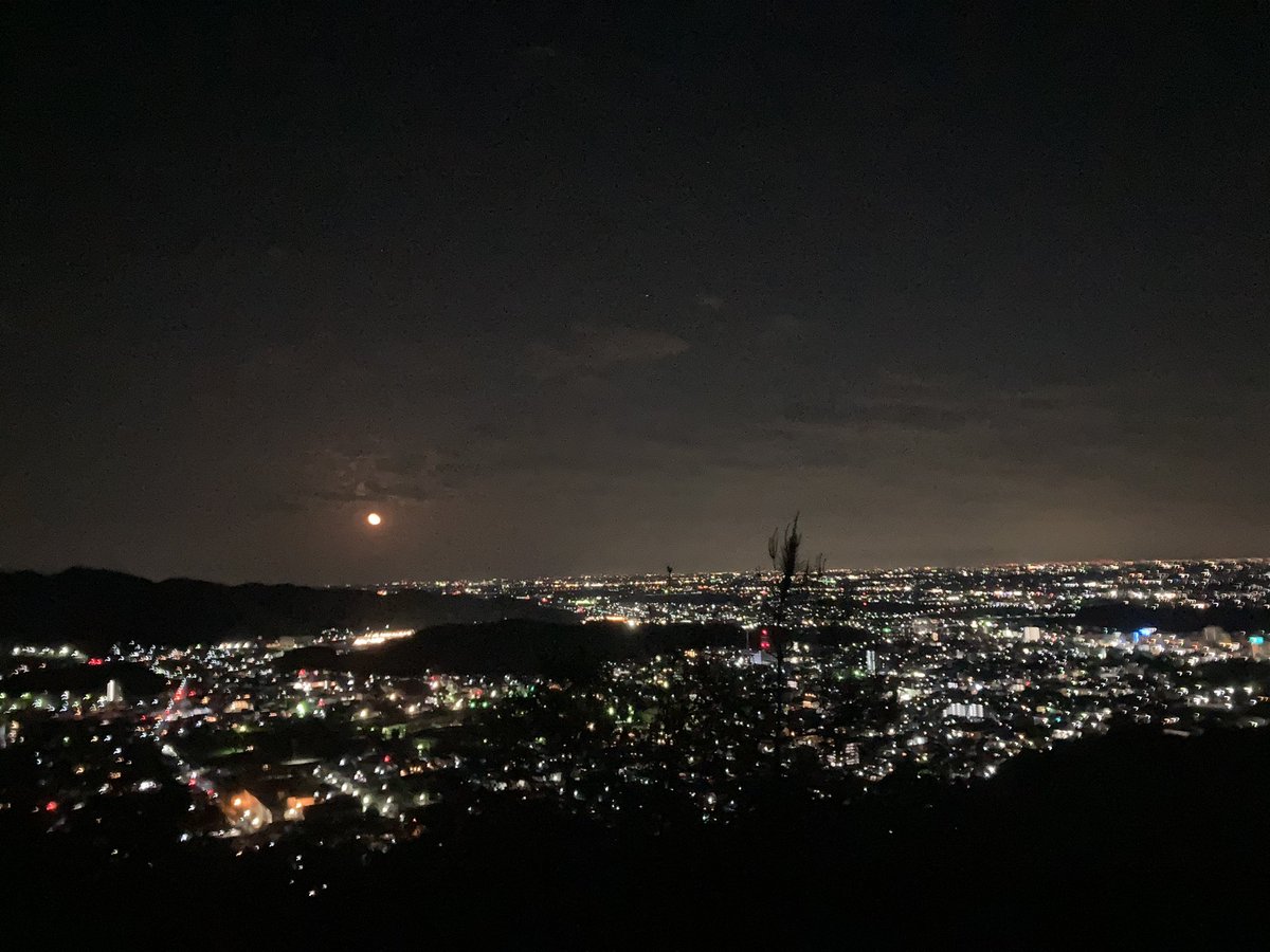 yamabakka's tweet photo. 両崖山復興プロジェクトカウントダウン「後12日」！！

夜の両崖山はとても夜景が綺麗です！

#カコソラ 
#かこそら 
#YAMABAKKA
#万物登山部
#夜景 
#風景
#登山
#山
#トレンド
#アウトドア 
#キャンプ 
#ハイカー
#フォローしてください 
#いいねして下さい
#リツイートして下さい
#足利市
#写真 https://t.co/xvw996eJOn
