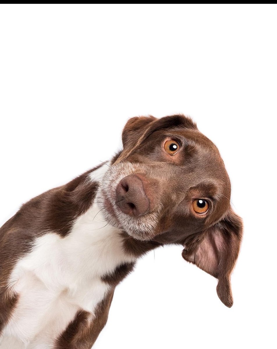 onur vural (@h_onurvural) on Twitter photo 