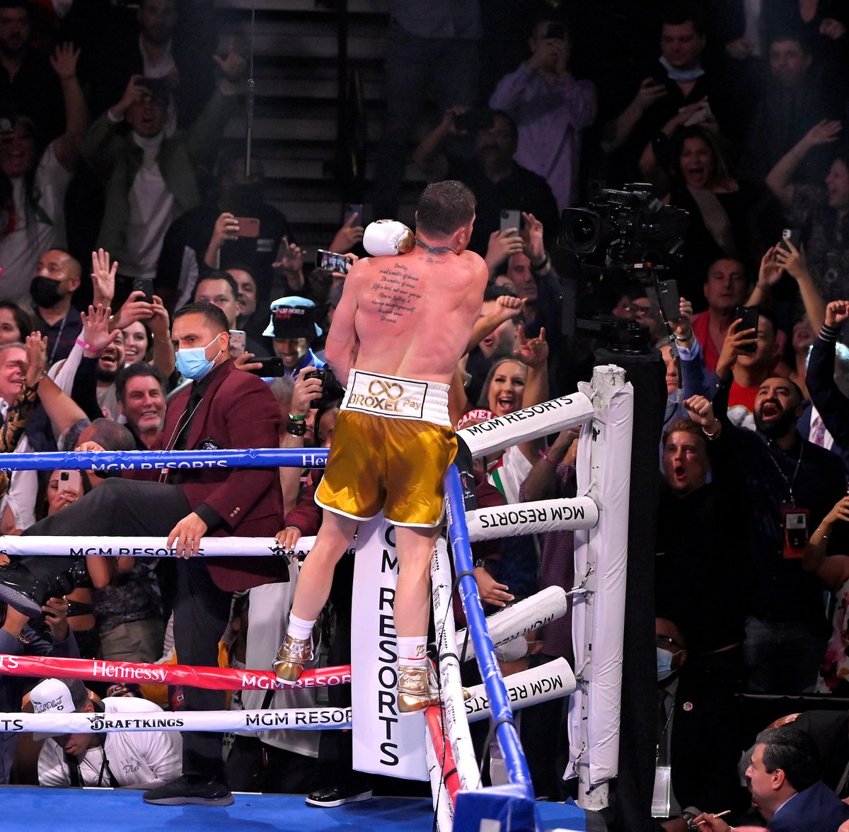 bet365's tweet photo. Canelo Álvarez turned pro when he was just 15.

He has fought the great Floyd Mayweather, GGG (twice), Danny Jacobs, Austin Trout, Miguel Cotto, Sergey Kovalev at 175 &amp; Erislandy Lara. 

60 fights by the age of 31.

A king worthy of his crown.

👑 https://t.co/WxTPnuISz2