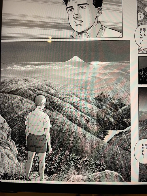 谷口ジロー展見に行きたいから神々の山嶺読み始めたんだけど、作中に塔ノ岳の景色に似てるな〜て思ったシーンが塔ノ岳でなんか嬉しくなっちゃったね 