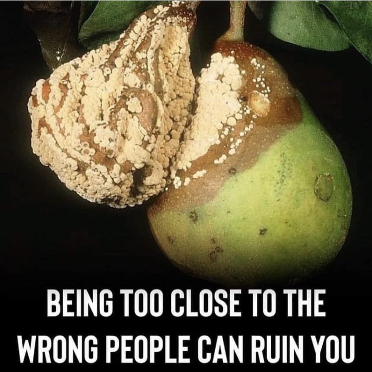 LifeAndLeaders1's tweet photo. Being too close to the wrong people can ruin you #EPICLeadership https://t.co/YlHt54iy5k