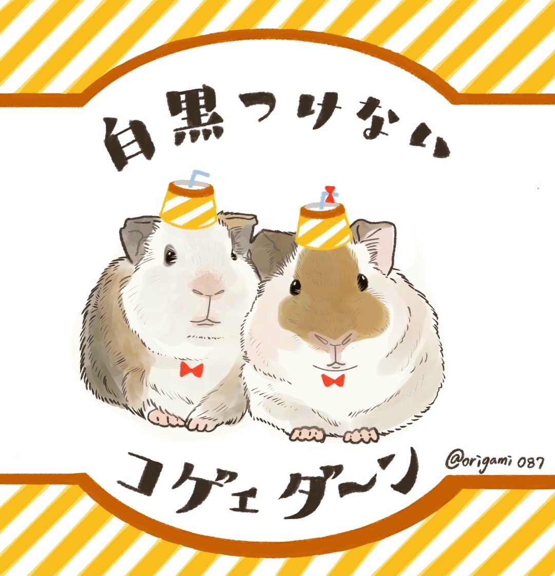 モルモットイラスト Twitter Search Twitter