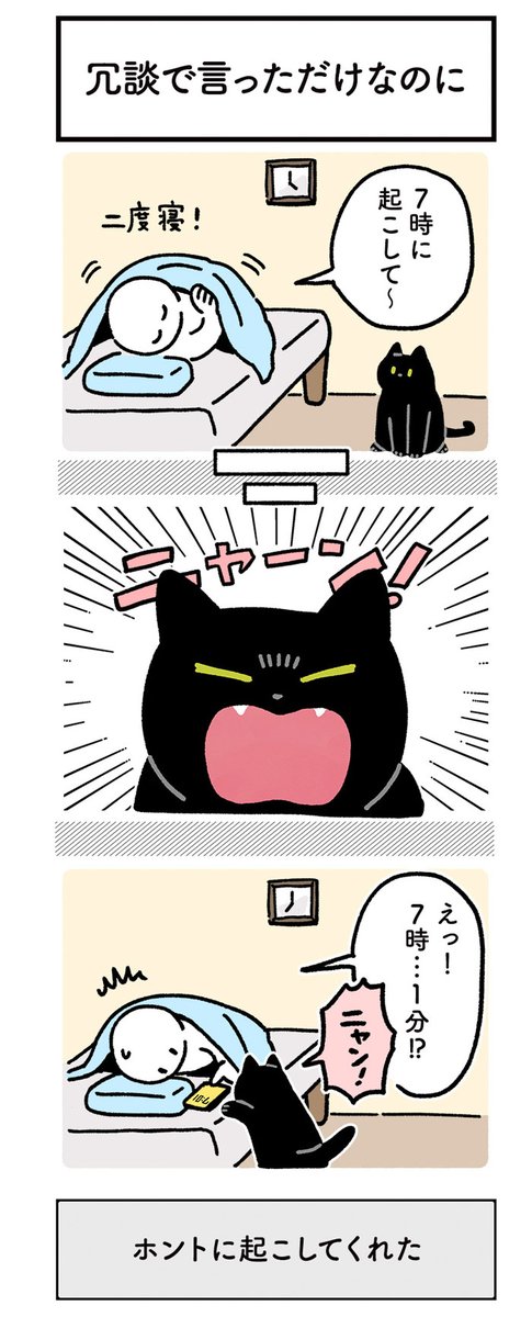 飼い主「冗談で言ったのに…」 猫の行動に反響 https://t.co/XcGV2zoit5 @grapeejpより 