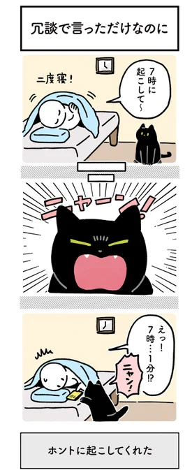 飼い主「冗談で言ったのに…」 猫の行動に反響 https://t.co/XcGV2zoit5 @grapeejpより 